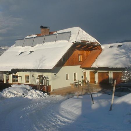 Haus Schober Apartment Windischgarsten Exterior photo