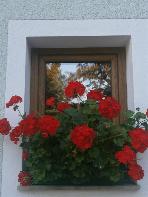 Haus Schober Apartment Windischgarsten Exterior photo